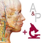 Cover Image of Anatomy & Physiology v6.2.00 APK (Full Paid, Patched)